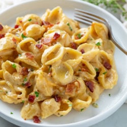A white plate with Creamy Bacon Mac and Cheese with shell pasta.