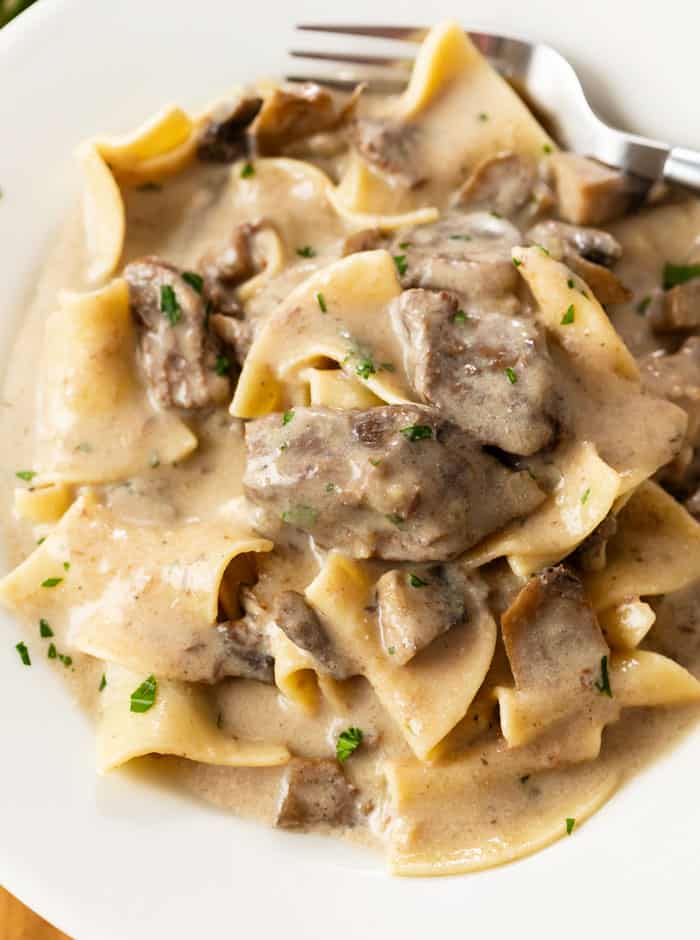 A white plate with egg noodles covered in a creamy Beef Stroganoff sauce. with mushrooms.