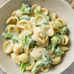 Creamy Broccoli Pasta with pasta shells in a bowl.