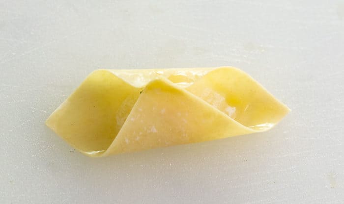 Close up shot of a wonton wrapper folded in half