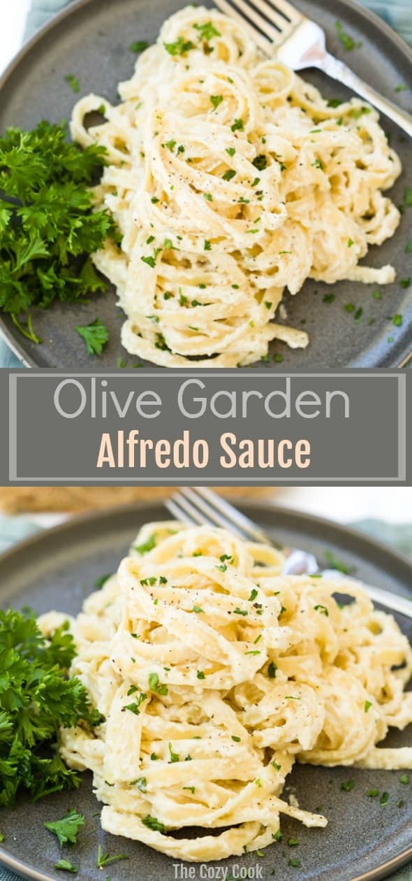 This Olive Garden Alfredo sauce recipe comes straight from the restaurant itself! It takes just 15 minutes to make, and pairs perfectly with fettuccine. | The Cozy Cook | #pasta #italianfood #olivegarden #alfredosauce #comfortfood #fettuccine #copycatrecipe #meatless