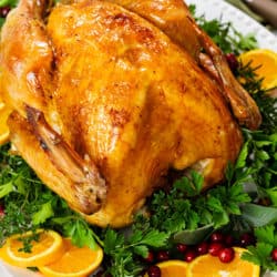 A roast turkey on a white platter with green parsley, sliced oranges, and fresh cranberries.
