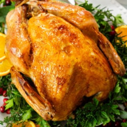 A Thanksgiving Turkey on a white platter garnished with parsley and orange slices.